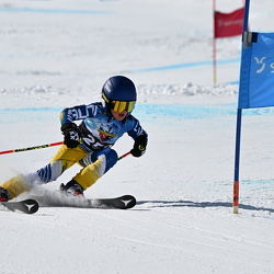 22. Int. Silvretta Schüler-Cup 2025